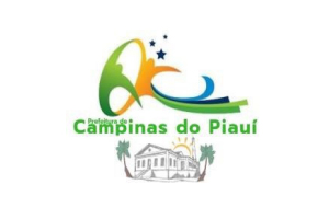 Campinas do Piauí faz seletivo para 69 vagas e para formação de cadastro reserva